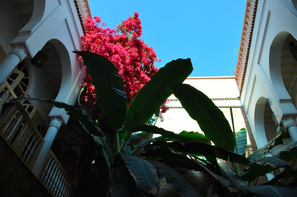 Riad Habib Марракеш Экстерьер фото