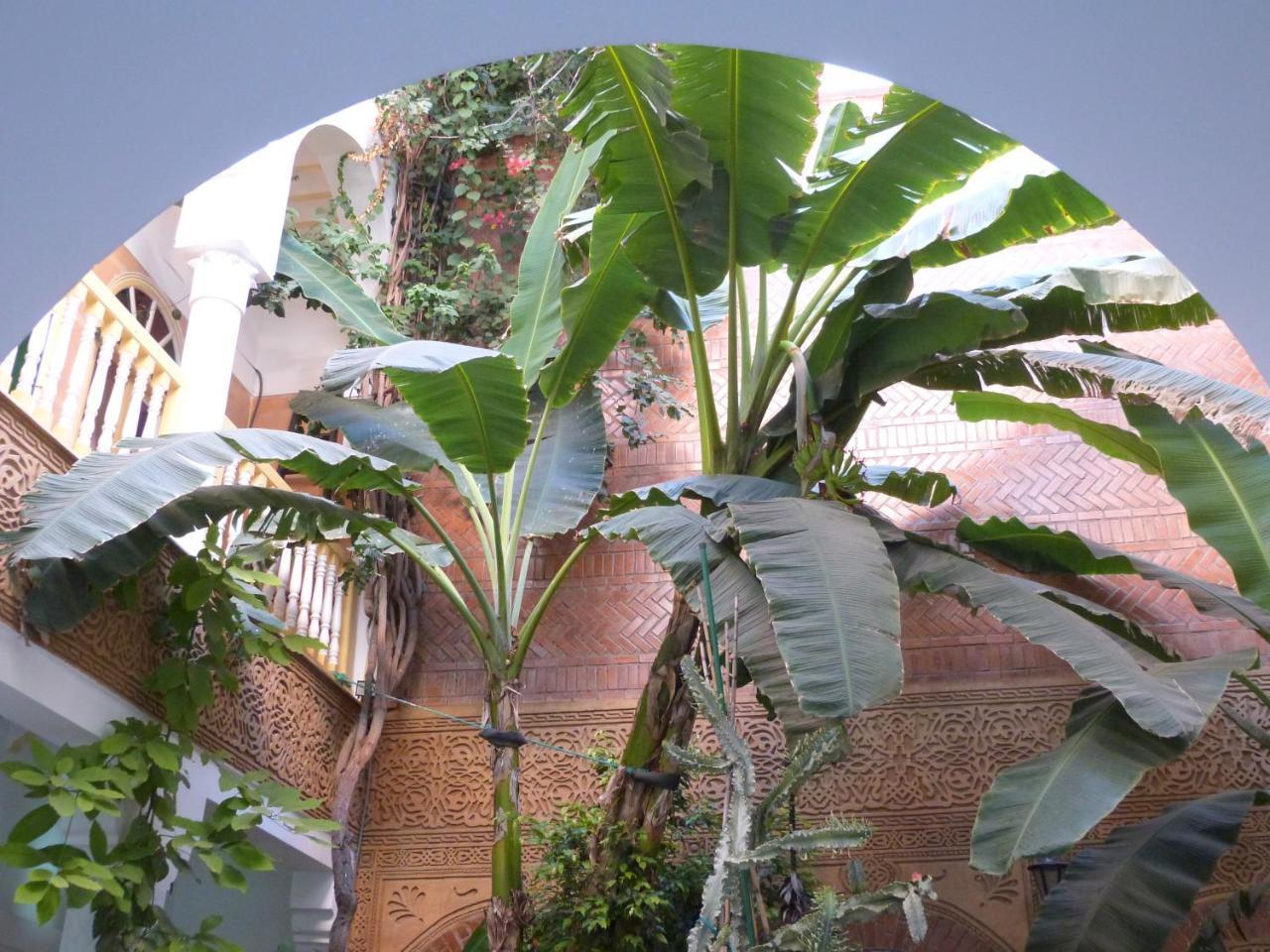 Riad Habib Марракеш Экстерьер фото